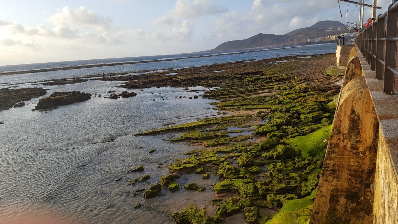 Vcv Marta Canteras Beach 大加那利岛拉斯帕尔马斯 外观 照片